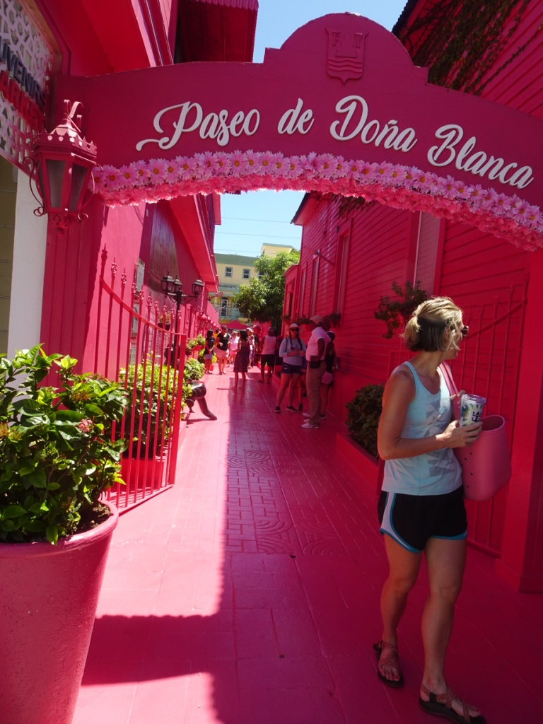 Puerto Plata Pink Street